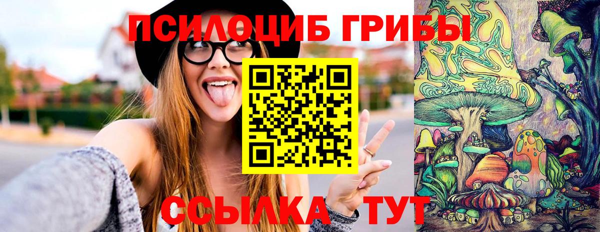 Екатеринбург  Галлюциногенные грибы прущие грибы  Вход с VPN 
